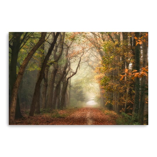 Path of Dreams Canvas Giclee